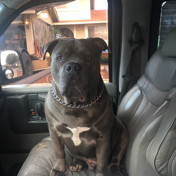 Meet your Posher, Alexis - Picture 1 of 1